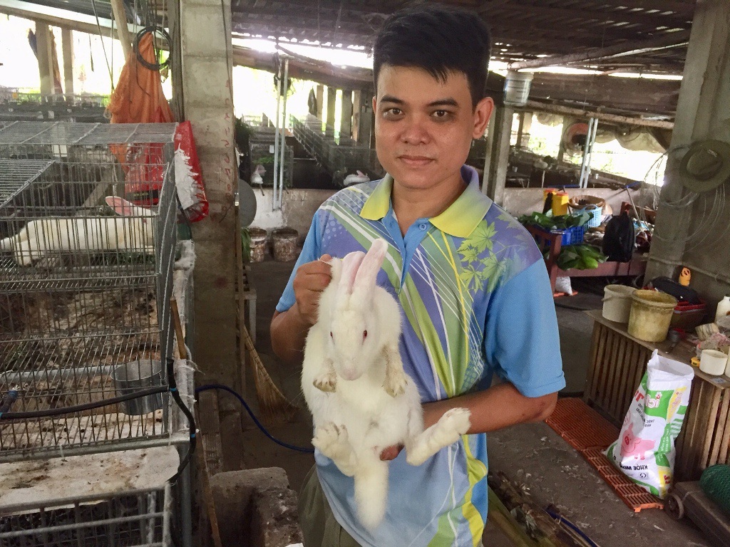 HTX Chăn nuôi Thỏ sạch Củ Chi giúp nhiều nông dân địa phương tăng thu nhập nhờ nuôi thỏ.