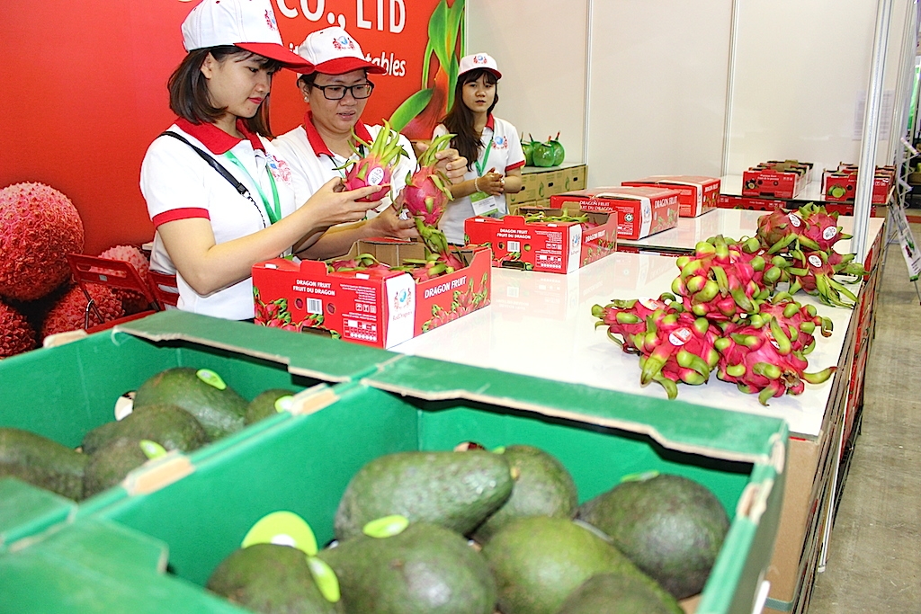 Với “bước đệm” như tiêu chuẩn Localg.a.p sẽ giúp trái cây của các nông trại nhỏ có nhiều cơ hội vươn ra thị trường quốc tế.