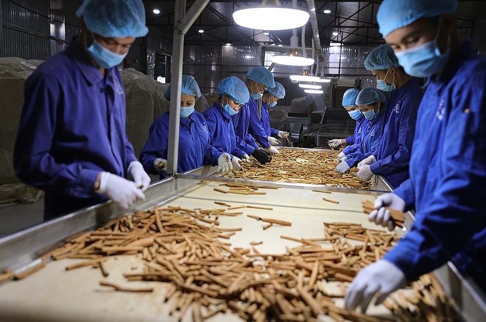 Quy trình sản xuất hiện đại, đảm bảo an toàn vệ sinh thực phẩm.