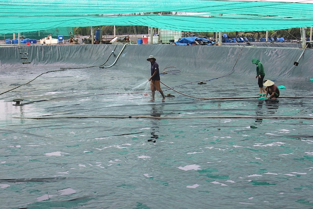 Cải tiến nuôi trồng thuỷ sản giúp nâng cao thu nhập cho người dân xã Phước An.