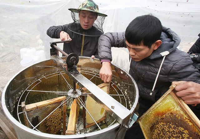 Sơ chế mật ong bằng máy giúp nâng cao chất lượng sản phẩm, kéo dài thời gian bảo quản.