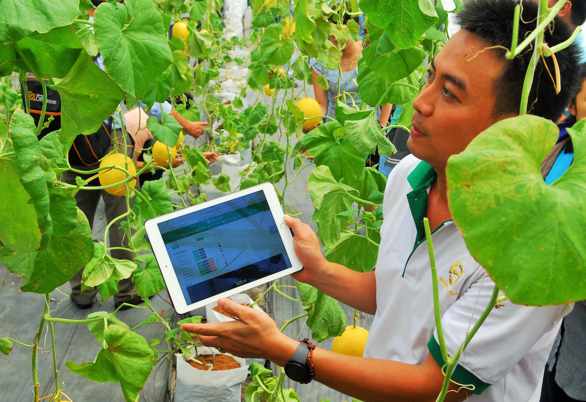 Doanh nghiệp nông nghiệp cao gặp nhiều khó khăn về vốn, đất đai, công nghệ.