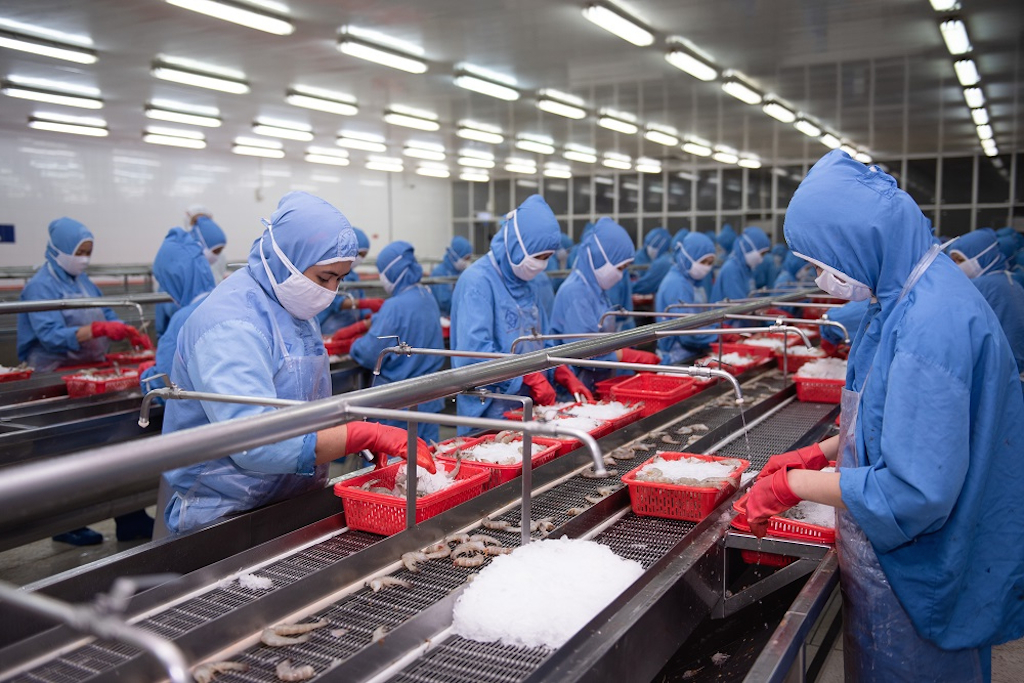 Các DN thủy sản cần nâng cao năng lực chế biến cho mục tiêu gia tăng kim ngạch XK trong 5 năm tới