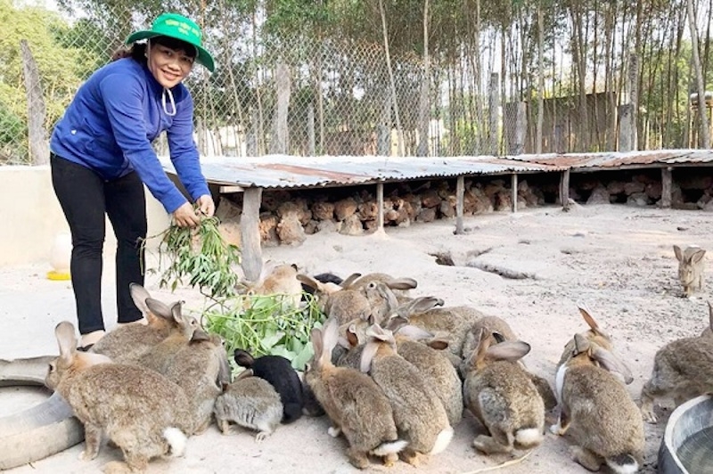 Trang trại chăn nuôi tổng hợp của chị Tăng Thị Hằng ở ấp Bàu Càm, xã An Long.