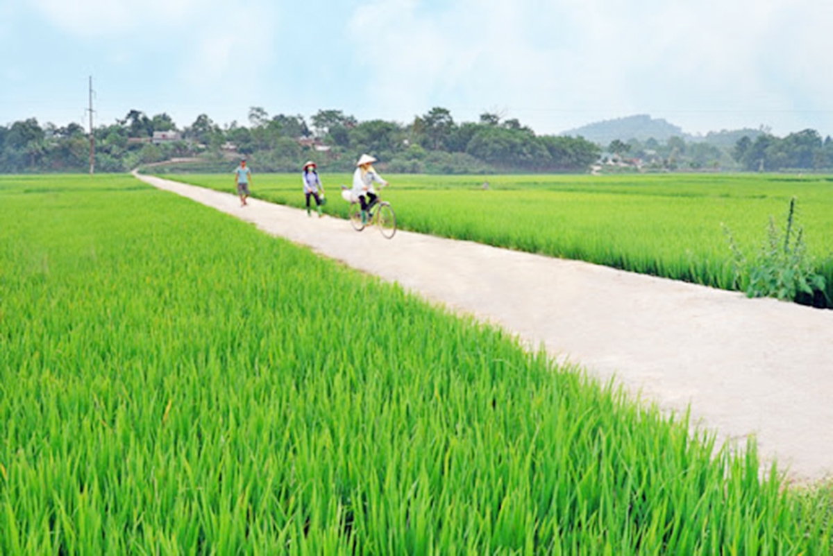 Diện mạo nông thôn mới của các xã trên địa bàn tỉnh Tuyên Quang ngày càng khởi sắc.