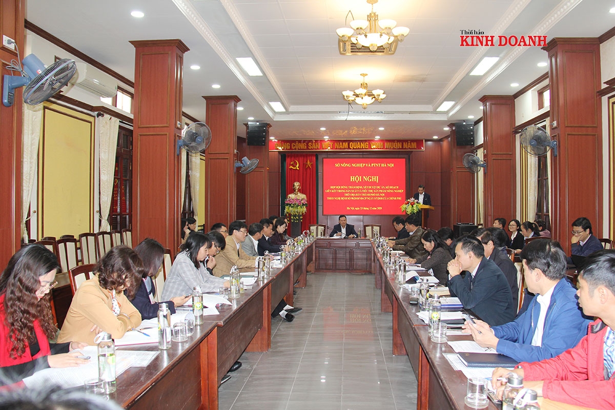 Các sở, ngành, các đơn vị tư vấn và chủ thể là các HTX, doanh nghiệp được đưa vào hỗ trợ từ Dự án liên kết theo Nghị định 98 của Chính phủ họp bàn, đánh giá và khắc phục những hạn chế để đẩy nhanh việc triển khai hỗ trợ.