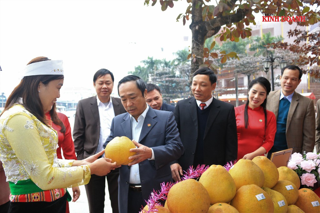 Lãnh đạo, cán bộ khu vực kinh tế tập thể, HTX tỉnh Hòa Bình thăm các gian hàng.