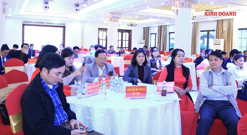 Hội nghị thu hút đông đảo các HTX, doanh nghiệp tham gia.