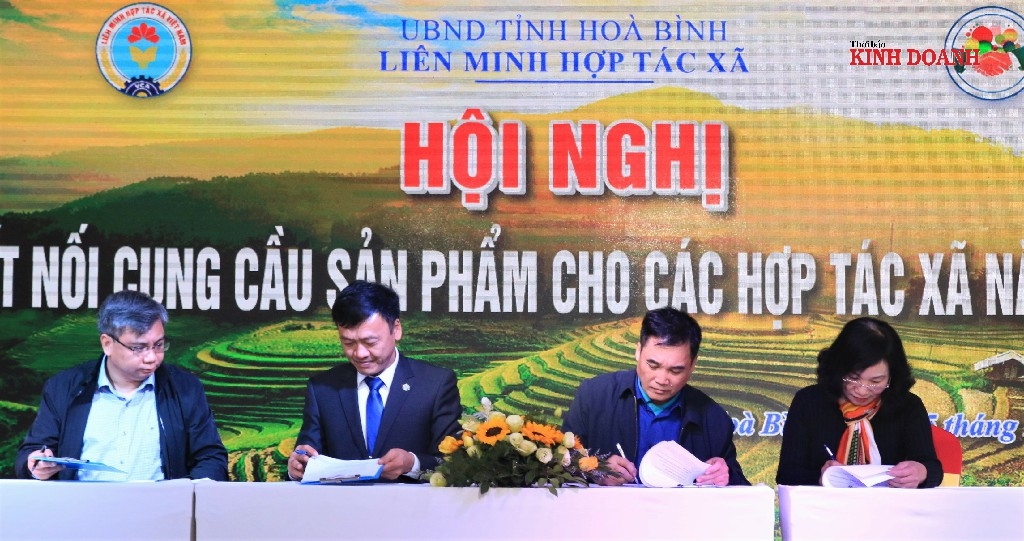 HTX và doanh nghiệp ký kết hợp đồng tiêu thụ sản phẩm trước sự chứng kiến của Liên minh HTX tỉnh Hòa Bình.