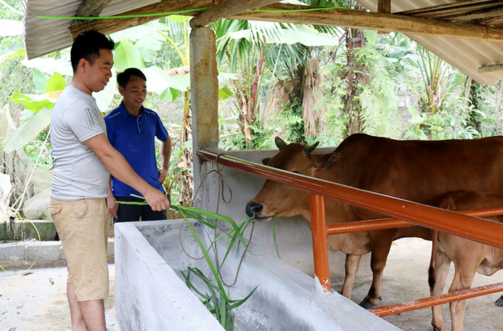 Được tập huấn kỹ thuật, nông dân tự tin phát triển sản xuất, nâng cao thu nhập.