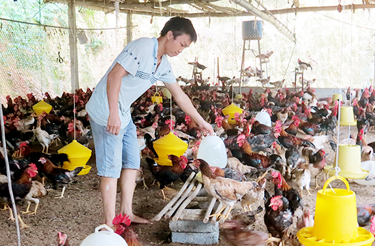 Công tác đào tạo nghề sẽ tiếp tục được đẩy mạnh trên địa bàn huyện Yên Lập.