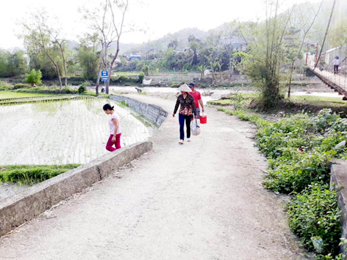 Diện mạo nông thôn khởi sắc cùng với tiến trình xây dựng nông thôn mới.