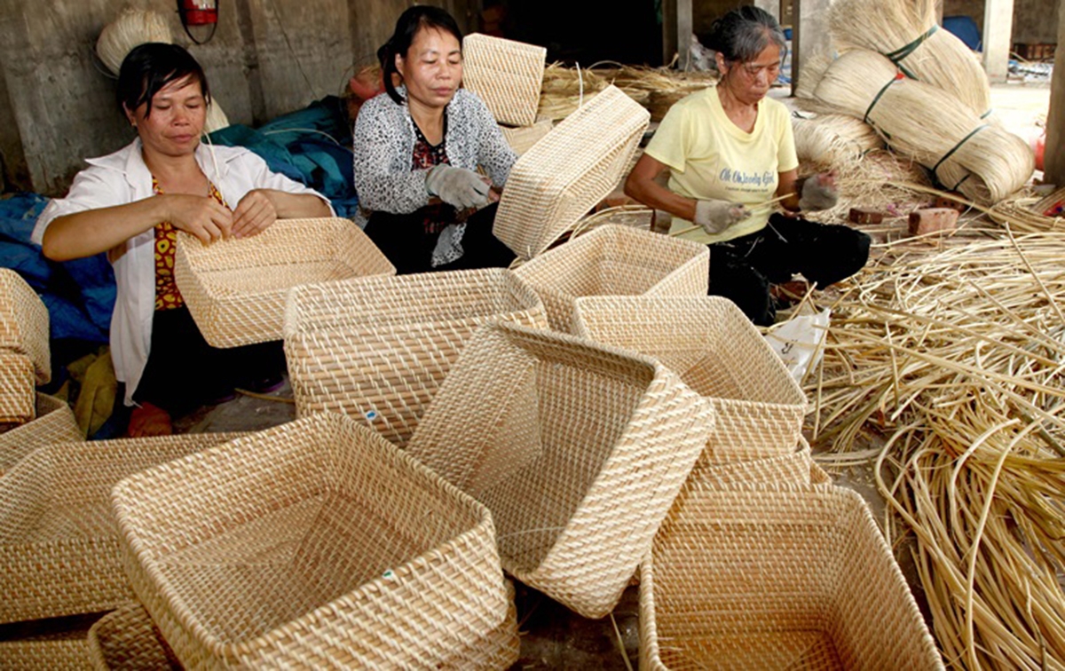 Đào tạo nghề nông thôn của huyện Quảng Xương sẽ tiếp tục được đẩy mạnh trong thời gian tới.