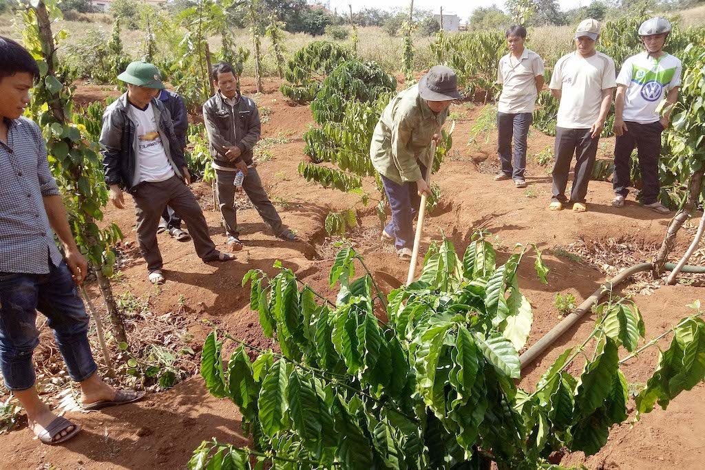 Người dân huyện Đăk Mil được tham gia nhiều đợt tập huấn về chăm sóc, bảo vệ cây cà phê.