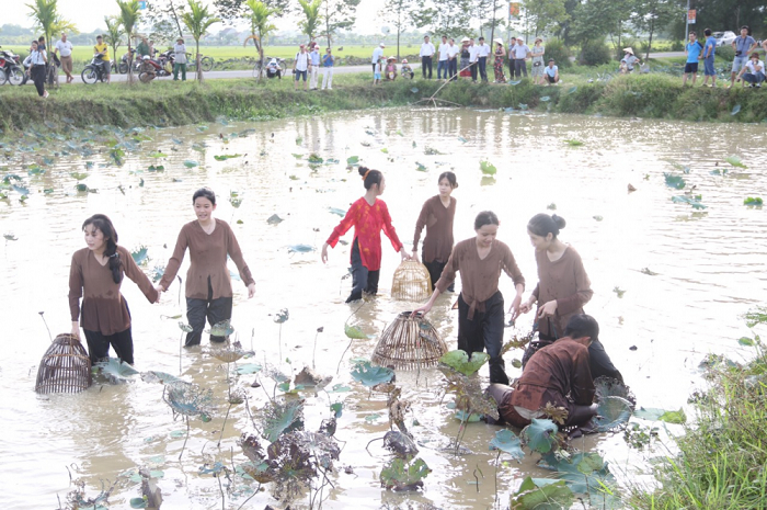 Du khách trải nghiệm trò chơi bắt cá trong đầm do HTX sen quê Bác liên kết với công ty du lịch tổ chức.