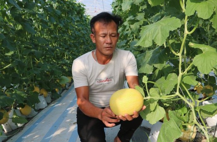 Sản xuất theo hướng công nghệ cao giúp hạn chế ô nhiễm môi trường.