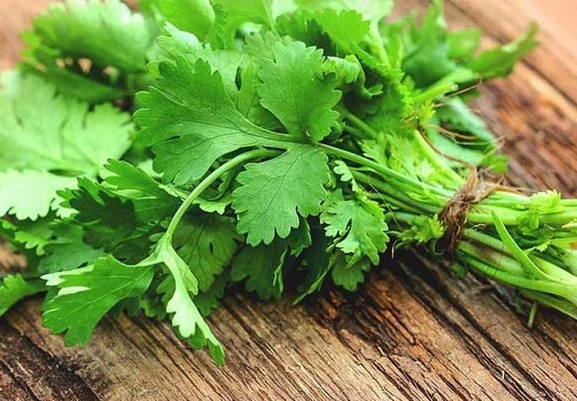 Ngò rí là loại rau gia vị được thị trường ưa chuộng nên đầu ra không quá khó khăn.