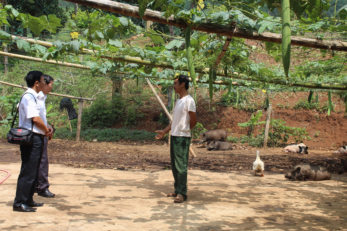 Huyện sẽ tiếp tục chú trọng phát triển các mô hình trang trại kết hợp trồng trọt và chăn nuôi theo hướng hữu cơ (Ảnh TL).