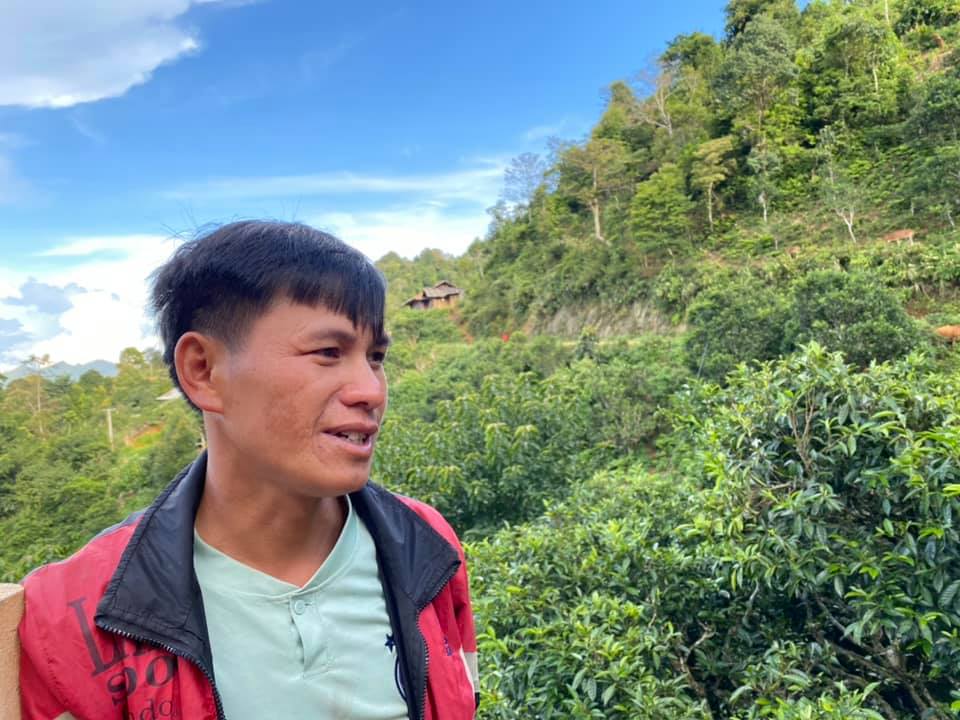 Trưởng bản Mùa A Vàng cho biết, từ ngày chè có Công ty thu mua, đời sống của người dân đã thay đổi. Nay cả bản còn 20/111 hộ nghèo.