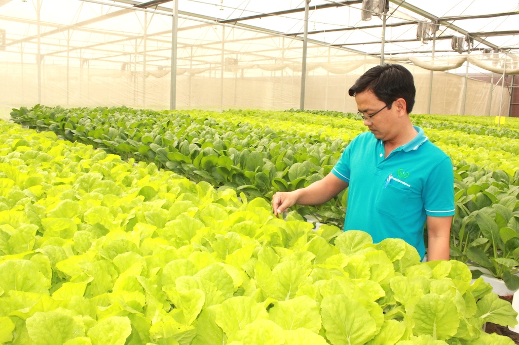 Đầu tư R&D sẽ giúp mang lại những thay đổi đột phá cho các HTX nông nghiệp