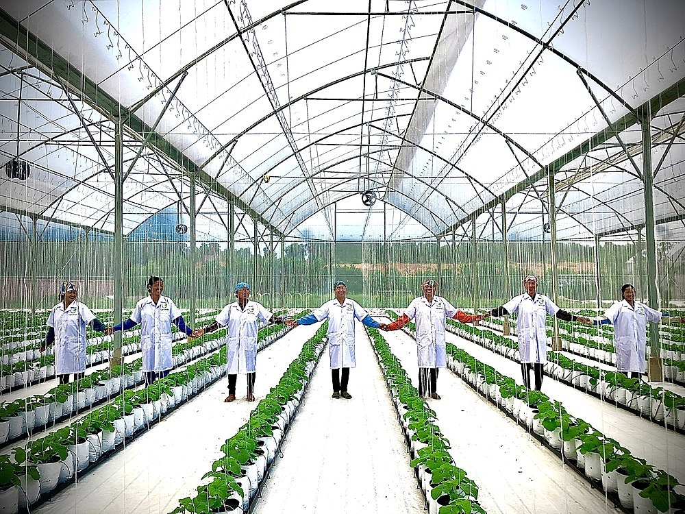 Những người nông dân “bắt nhịp” với công nghệ cao.