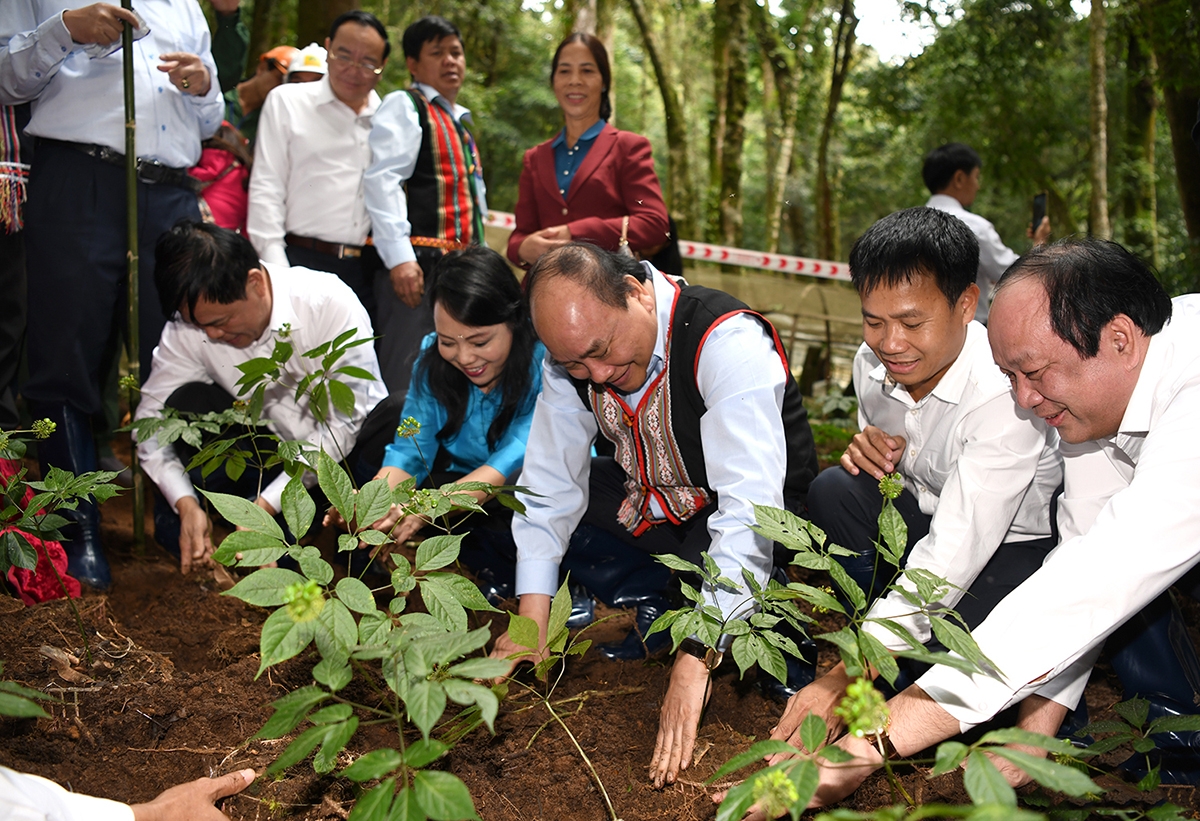 Thủ tướng Chính phủ Nguyễn Xuân Phúc khảo sát vường sâm trên đỉnh Ngọc Linh.
