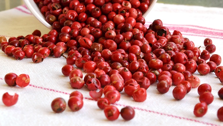 Tiêu đỏ có màu sắc bắt mắt khi sấy bằng máy hồng ngoại.