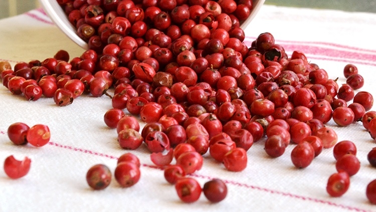 Tiêu đỏ có màu sắc bắt mắt khi sấy bằng máy hồng ngoại.