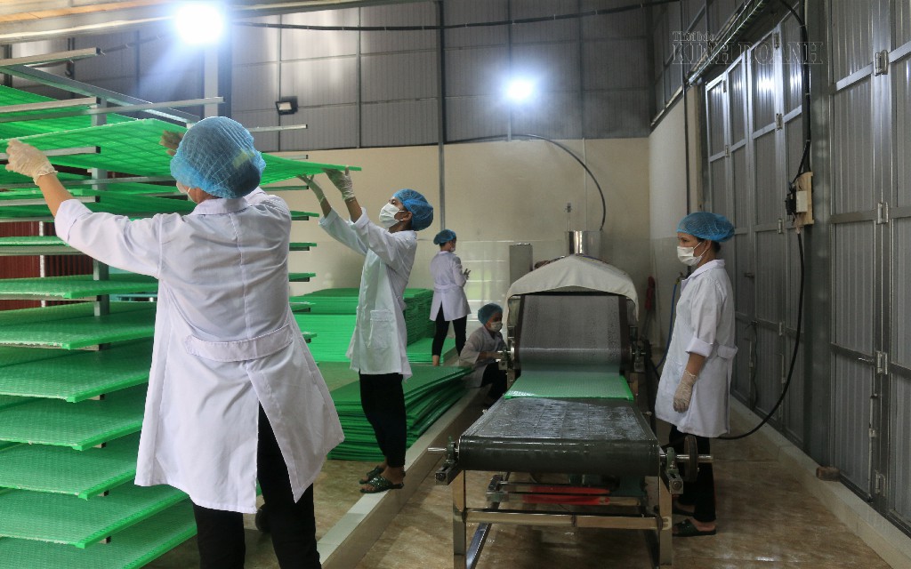 Các lao động đều được trang bị bảo hộ lao động để đảm bảo vệ sinh an toàn thực phẩm.