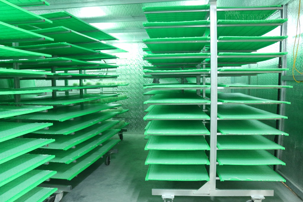 Lò sấy khép kín, không tiếp xúc với môi trường bên ngoài giúp hạn chế bụi bẩn.