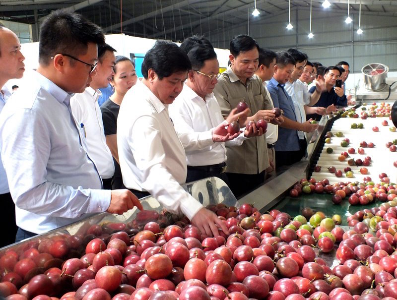 Ngành nông nghiệp hướng tới mục tiêu kim ngạch xuất khẩu 44 tỷ USD trong năm 2021.