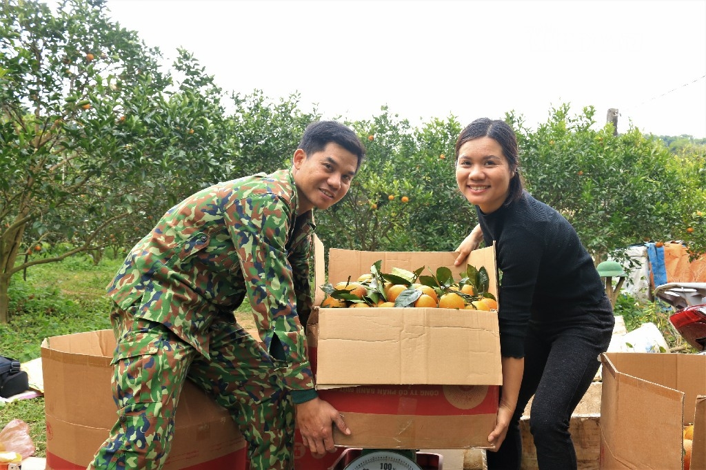 Chị Vũ Thị Lệ Thủy, Giám đốc HTX đang chuẩn bị cam cho khách.