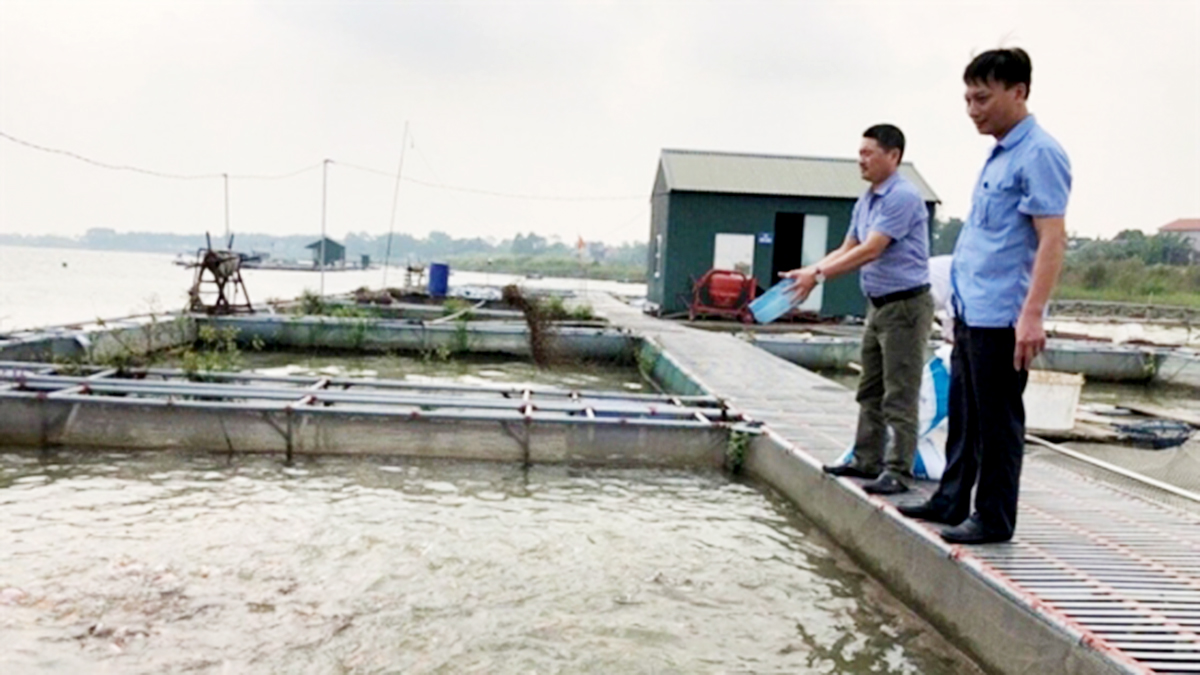 Nuôi thủy sản VietGAP sẽ tiếp tục được xã Mão Điền đẩy mạnh theo hướng hàng hóa (Ảnh TL).