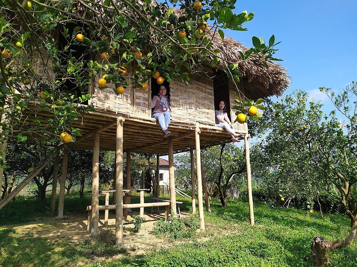 Mô hình farmstay của HTX đang thu hút giới trẻ Hà Thành trải nghiệm.
