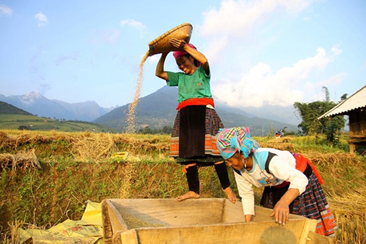 Nông nghiệp Hà Giang có nhiều điều kiện để phát triển du lịch sinh thái (Ảnh TL).
