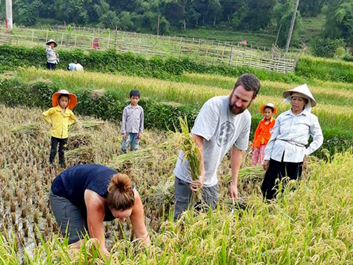 Nông nghiệp sạch là chìa khóa thu hút du khách trải nghiệm (Ảnh TL).
