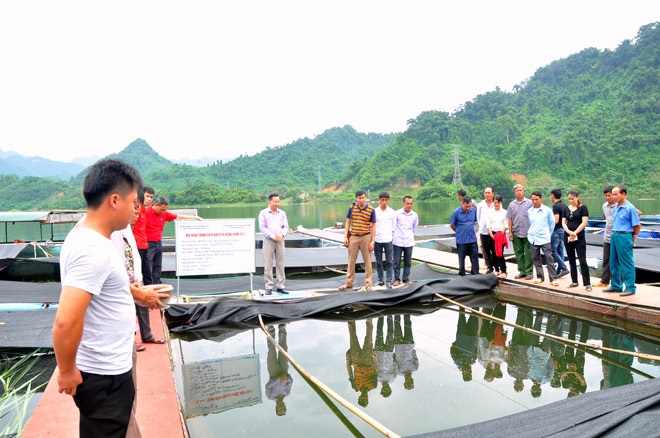 Nuôi cá lồng an toàn là hướng phát triển kinh tế hiệu quả nên nhận được sự quan tâm của các cấp ngành.