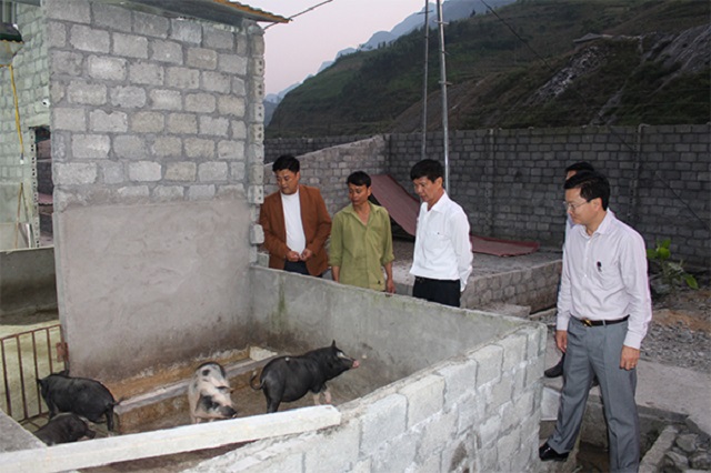 Ngành chức năng đến thăm khu vực nuôi lợn của một hộ thành viên trong HTX Tuấn Dũng.