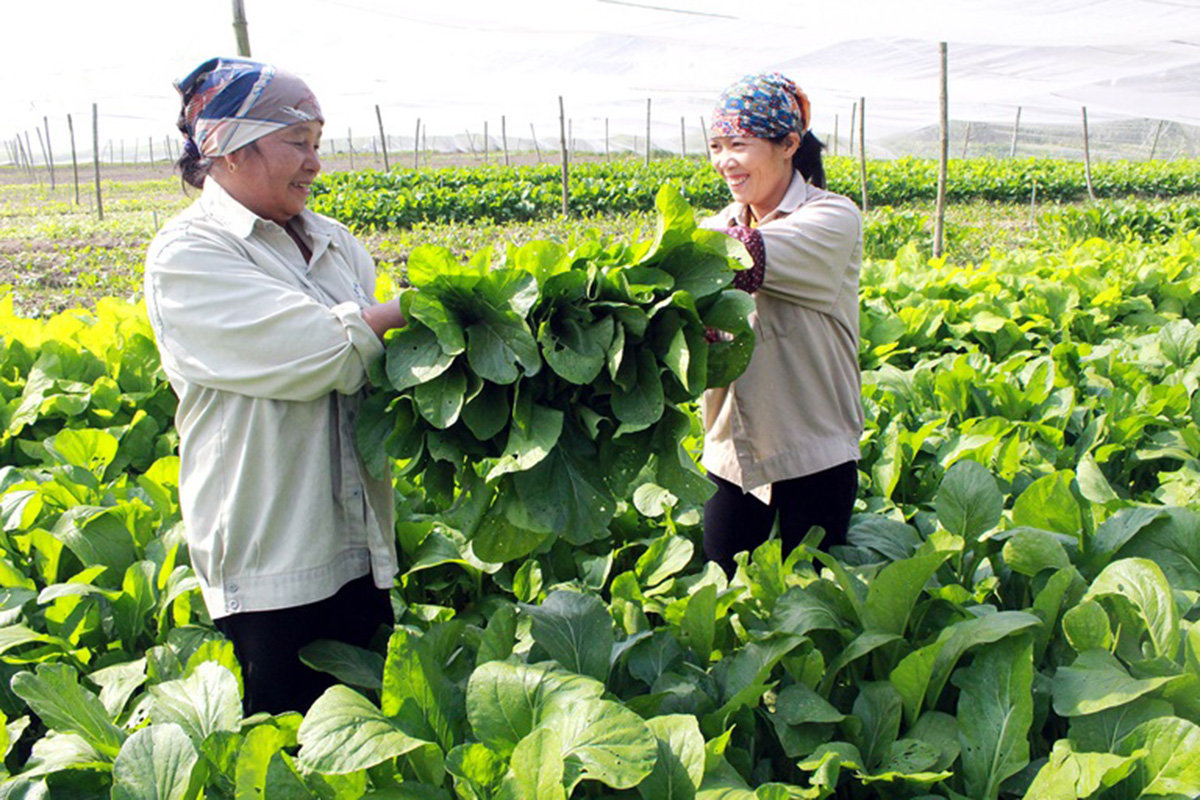 HTX khẳng định dấu ấn nhờ sản xuất sạch, chất lượng sản phẩm cao (Ảnh TL).