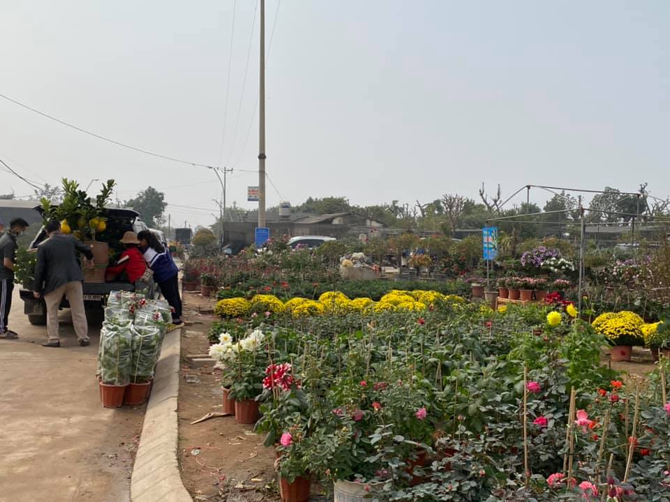 Rất nhiều gia đình từ Hà Nội sang Văn Giang để rinh những chậu cây cảnh về chơi Tết sớm. Chị Lan, nhà ở Cầu Giấy (Hà Nội) chia sẻ, chị đi mua sớm để có thể chọn được những chậu hoa ưng ý, giá cũng không quá đắt. Hơn nữa, cả gia đình được thưởng thức không khí mùa xuân đến sớm.