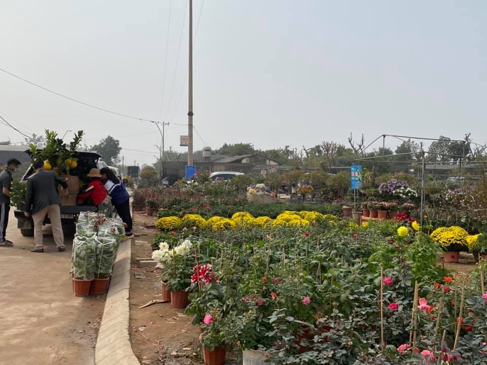 Rất nhiều gia đình từ Hà Nội sang Văn Giang để rinh những chậu cây cảnh về chơi Tết sớm. Chị Lan, nhà ở Cầu Giấy (Hà Nội) chia sẻ, chị đi mua sớm để có thể chọn được những chậu hoa ưng ý, giá cũng không quá đắt. Hơn nữa, cả gia đình được thưởng thức không khí mùa xuân đến sớm.