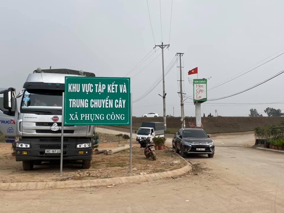 Cách Hà Nội 20km về phía Đông, Phụng