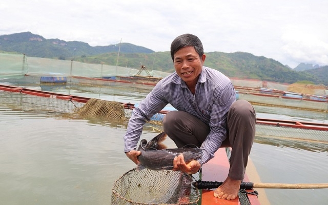 Áp dụng khoa học kỹ thuật giúp người nuôi cá lồng bảo đảm được năng suất, chất lượng và hạn chế ô nhiễm môi trường.