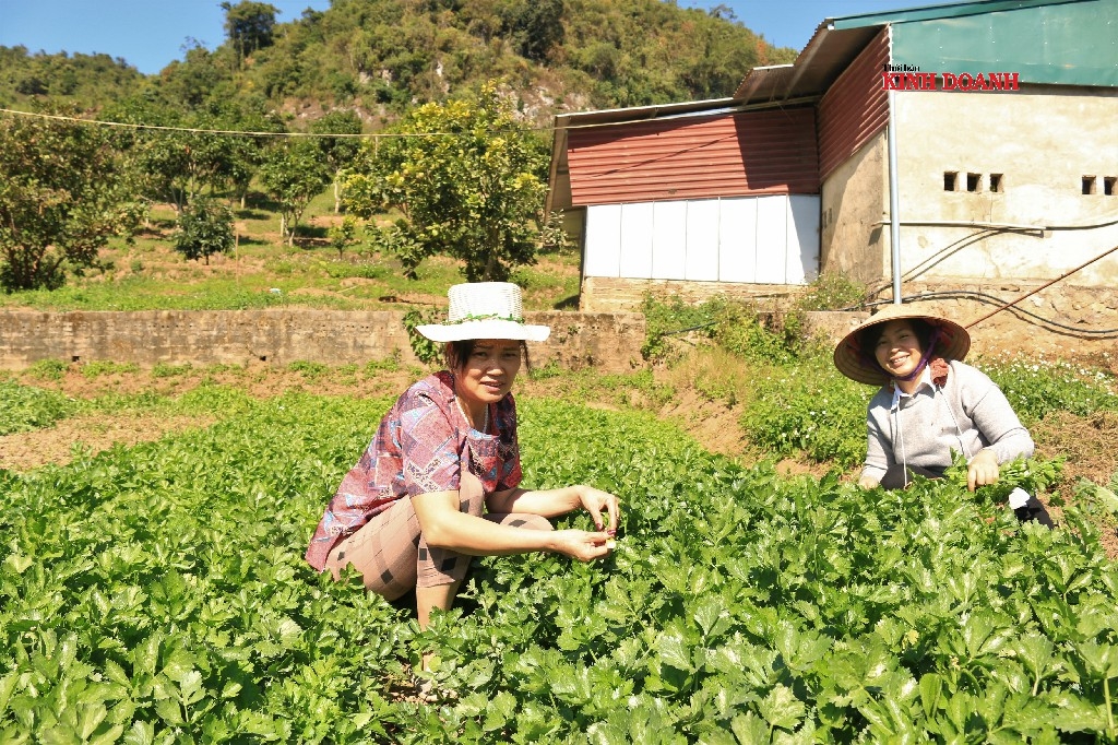 Chuyên gia của WISE (bên phải) lấy mẫu kiểm định chất lượng nông sản.