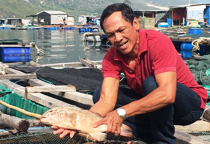 Thành viên THT kiểm tra chất lượng cá lồng.