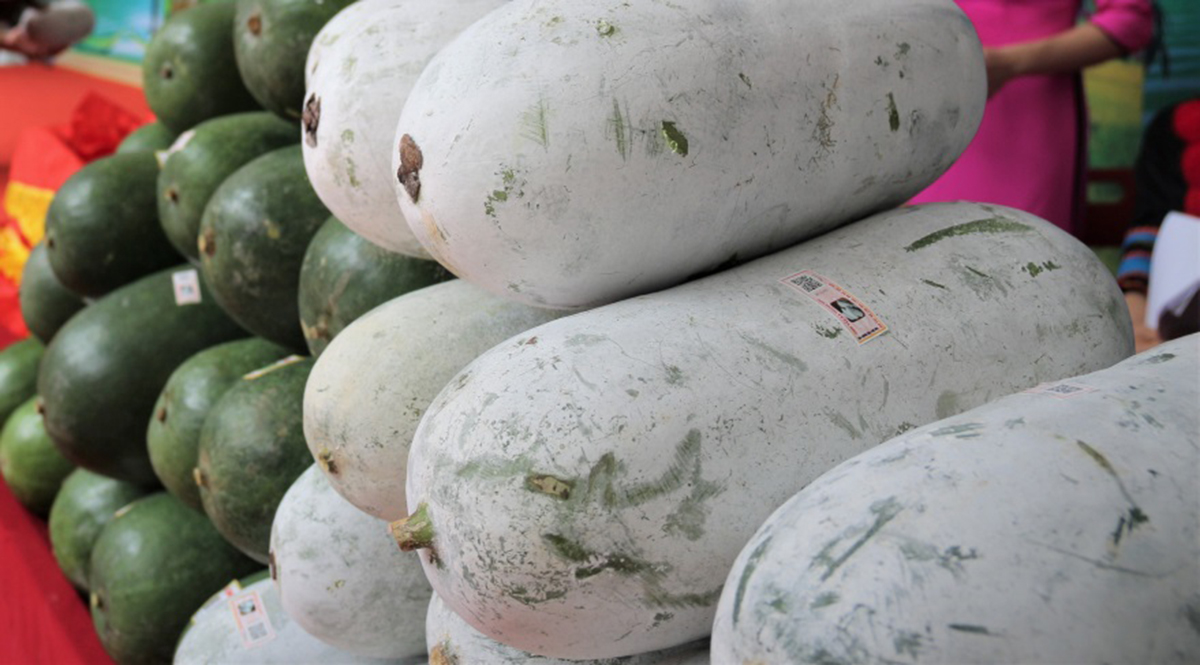 Sản phẩm của HTX có chất lượng cao nên rất được thị trường ưa chuộng (Ảnh TL).