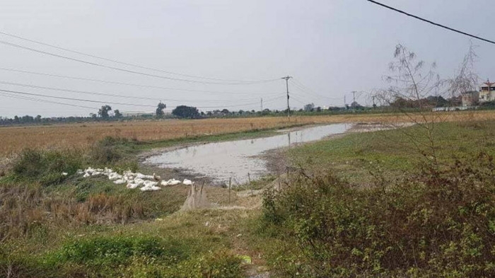 Được rao bán rầm rộ, nhưng thực tế, dự án vẫn là cánh đồng bỏ trống (Ảnh: TL)