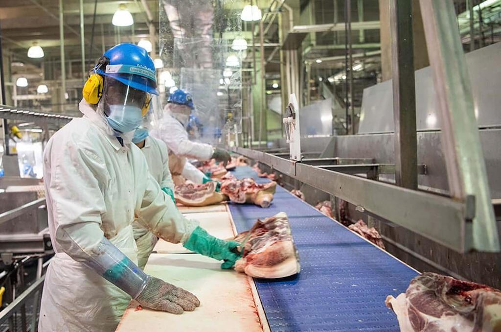 Mở rộng quy mô sản xuất chế biến giúp những DN lớn kỳ vọng tăng trưởng cao ở mảng kinh doanh thịt.