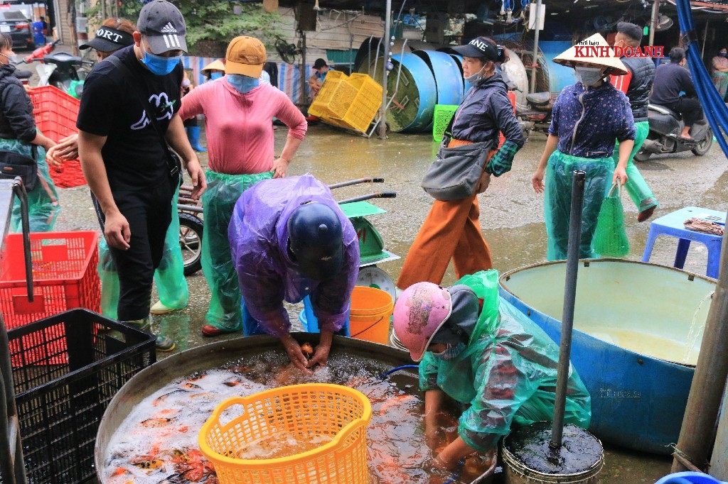 Các tiểu thương nhanh chóng gom hàng để kịp phân phối, bán lẻ cho người dân tại các chợ dân sinh.