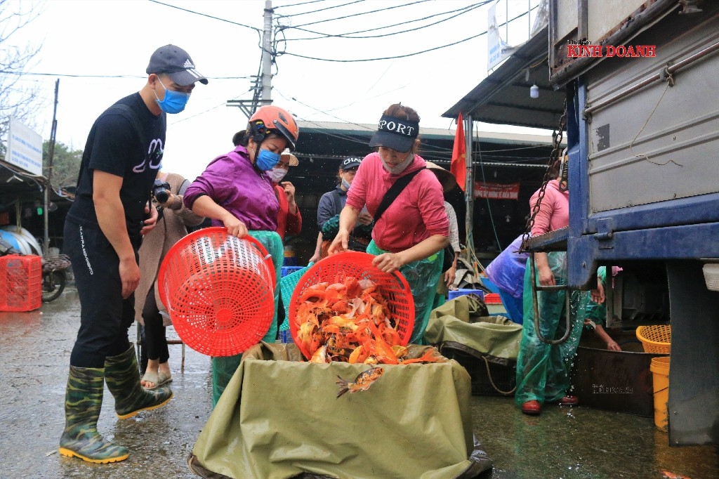 Chợ cá sôi động nhất vào khoảng 4-6h sáng, mối buôn từ các tỉnh Phú Thọ, Hải Dương, Vĩnh Phúc lũ lượt đổ về Thủ đô.